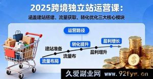 （16211期）2025跨境独立站运营秘籍：建站、引流、转化全方位攻略-每日必学网