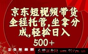 （16204期）京东短视频带货新门道，零门槛开启赚钱路-每日必学网