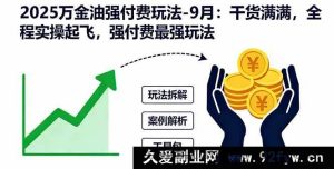 （16202期）2025万金油超实用付费玩法揭秘-9月：全是干货，实操带你强势起飞，付费玩法新突破-每日必学网