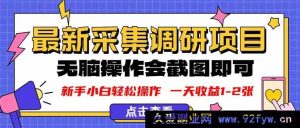 （16155期）新版采集调研超简单，截图上传就行，轻松日赚1 - 2张-每日必学网