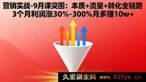 （16152期）营销实战9月突破课：核心+流量+转化全流程 3个月利润飙升30%-300%月增收10w+-每日必学网