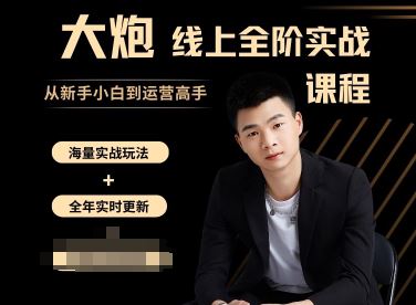 图片[1]-大炮电商-拼多多全阶实战课程2025年10月21日更新_-每日必学网