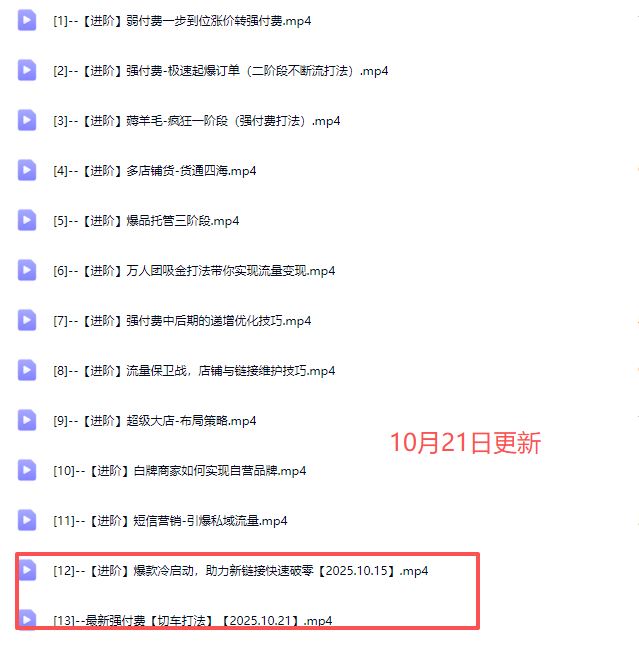 图片[5]-大炮电商-拼多多全阶实战课程2025年10月21日更新_-每日必学网