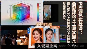 16336期PR调色秘籍:色彩理论+工具实操+婚礼医美30+案例,月入超2万不是梦-每日必学网