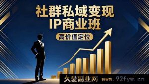 16309期社群私域变现IP商业秘籍:高价值定位+精准引流+私聊成交,年入百万不是梦-每日必学网