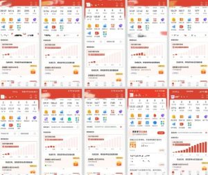 拼多多虚拟电商，门槛低，搬运上架，操作起来简单粗暴，单人单店三位数，可矩阵-每日必学网