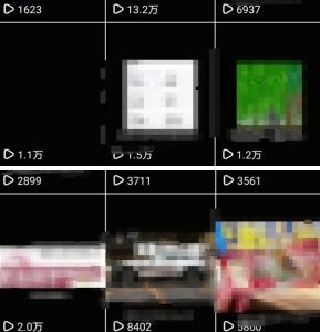 抖音引流创业粉教程，创业粉终于跑通了，私域是永远的王-每日必学网