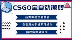 CSGO全自动搬砖，年底钱回家好项目，当天可拿到结果，新手小白轻松月入1W+【揭秘】-每日必学网