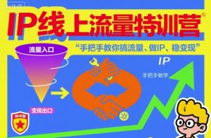 IP线上流量特训营,手把手教你搞流量、做IP、稳变现-每日必学网