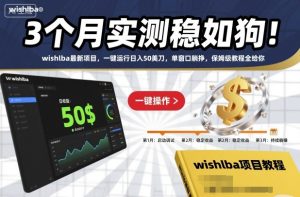 3个月实测稳如狗！wishlba最新项目，一键运行日入50美刀，单窗口躺挣，保姆级教程全给你【揭秘】-每日必学网