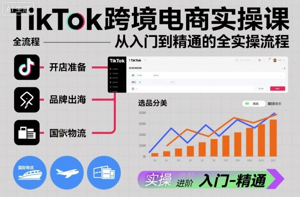 TikTok跨境电商实操课，从入门到精通的全实操流程-每日必学网