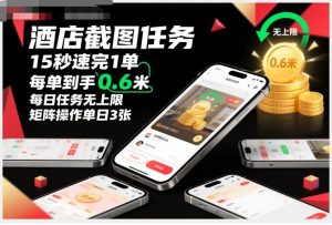 酒店截图任务,15秒速完1单,每单到手0.6米,每日任务无上限,全网首发玩法,矩阵操作单日3张【揭秘】-每日必学网