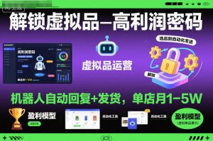 解锁虚拟品高利润密码：机器人自动回复+发货，单店月1-5W【揭秘】-每日必学网