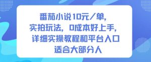 番茄小说10米每单，实拍玩法，0成本好上手，详细实操教程和平台入口适合大部分人-每日必学网