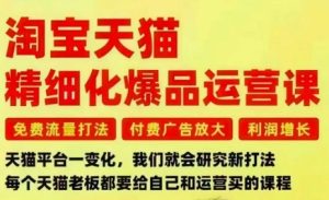 淘宝天猫精细化爆品运营课，免费流量打法-付费广告放大-利润增长-三大核心痛点，一次全部解决-每日必学网