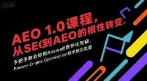 AEO 1.0 课程，从SEO到AE0的基命性转变，手把手教会你用AnswerEngineOptimization技术抢回流量（更新）-每日必学网