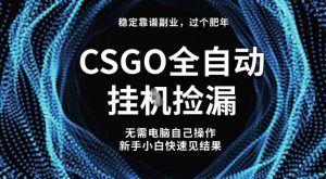 【稳定副业】全球最热门游戏CSGO全自动捡漏，最新玩法，新手小白日入5张+【揭秘】-每日必学网