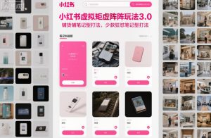 小红书虚拟矩阵玩法3.0，铺货铺笔记型打法，少款狂怼笔记型打法-每日必学网