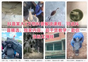 抖音某大V万物科普解说课程，可进抖音精选，独家内容，超干货教学，助你涨粉又賺钱-每日必学网