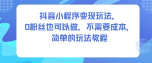 抖音小程序变现玩法，0粉丝也可以做，不需要成本，简单的玩法教程-每日必学网