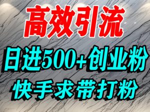 怎么打创业粉？快手求带视角精准引流创业粉，宝妈、学生群体日进500+精准流量-每日必学网