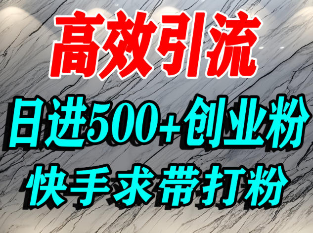 久爱副业网,网赚项目,网赚论坛博客网分享怎么打创业粉？快手求带视角精准引流创业粉，宝妈、学生群体日进500+精准流量
