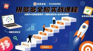 拼多多全阶实战课程，从新手小白到运营高手，海量实战玩法+全年实时更新【2025年10月更新】-每日必学网