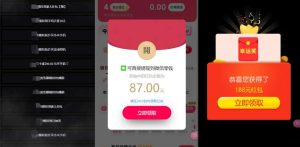 网络项目万能辅助工具_万能配合拉新项目吃遍提成-每日必学网