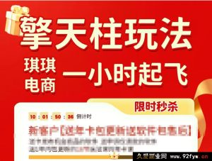 琪琪电商-拼多多擎天柱玩法【1.5版本】2025年11月_-每日必学网