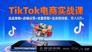 16422期TikTok电商实战秘籍：10月选品、店铺运营、流量获取全流程技能，助你月入5万+-每日必学网