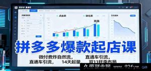 拼多多爆店秘籍：微付费引爆自然流量，直通车高效引流，两周速起量，双11黄金旺季布局攻略-每日必学网