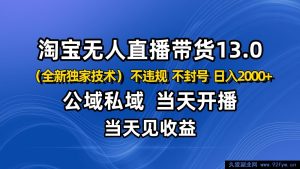 淘宝无人工直播新玩法，公域私域融合技巧，合规不封店，抢占下半年黄金旺季，轻松日赚超2000-每日必学网