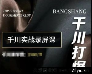 泽泽子-千川打爆直播课2025年11月(价值2980元)_-每日必学网