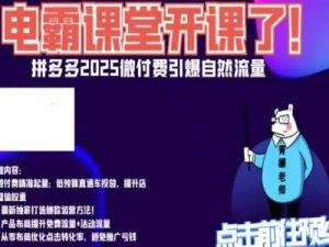 电霸学堂2025年拼多多电商运营教程冲刺双十一（价值4980元）_-每日必学网