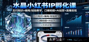 晶韵小红书IP养成秘籍：五行妙识与编绳挂链精讲，口播拍摄AI运营直播变现攻略-每日必学网