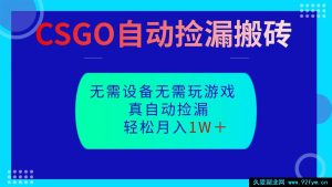 CSGO零基础速学自动捡漏搬砖技巧，上手即有成效，完全不懂游戏也能快速掌握稳落地-每日必学网