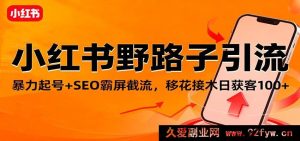 小红书超绝引流秘籍,强势起号结合SEO霸屏截流技巧,巧妙借势每日稳获客超百-每日必学网