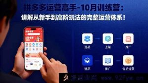 （16448期）拼多多运营特训营：10月带你从新手进阶高阶玩转完整运营体系！-每日必学网