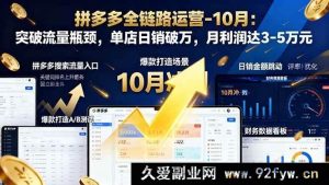 （16462期）拼多多全链路运营 10 月秘籍：打破流量困局，实现单店日销破万与月赚 3 至 5 万-每日必学网