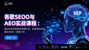 （16463期）谷歌SEO与AEO实战课：借助AI达成多渠道引流，网站流量猛增300%-每日必学网