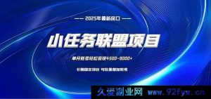 （16521期）小任务联盟：十分钟轻松搞，电脑稳赚钱-每日必学网