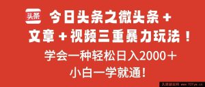 16556期今日头条微头条、文章和视频超牛玩法,掌握其一轻松日赚2000+-每日必学网