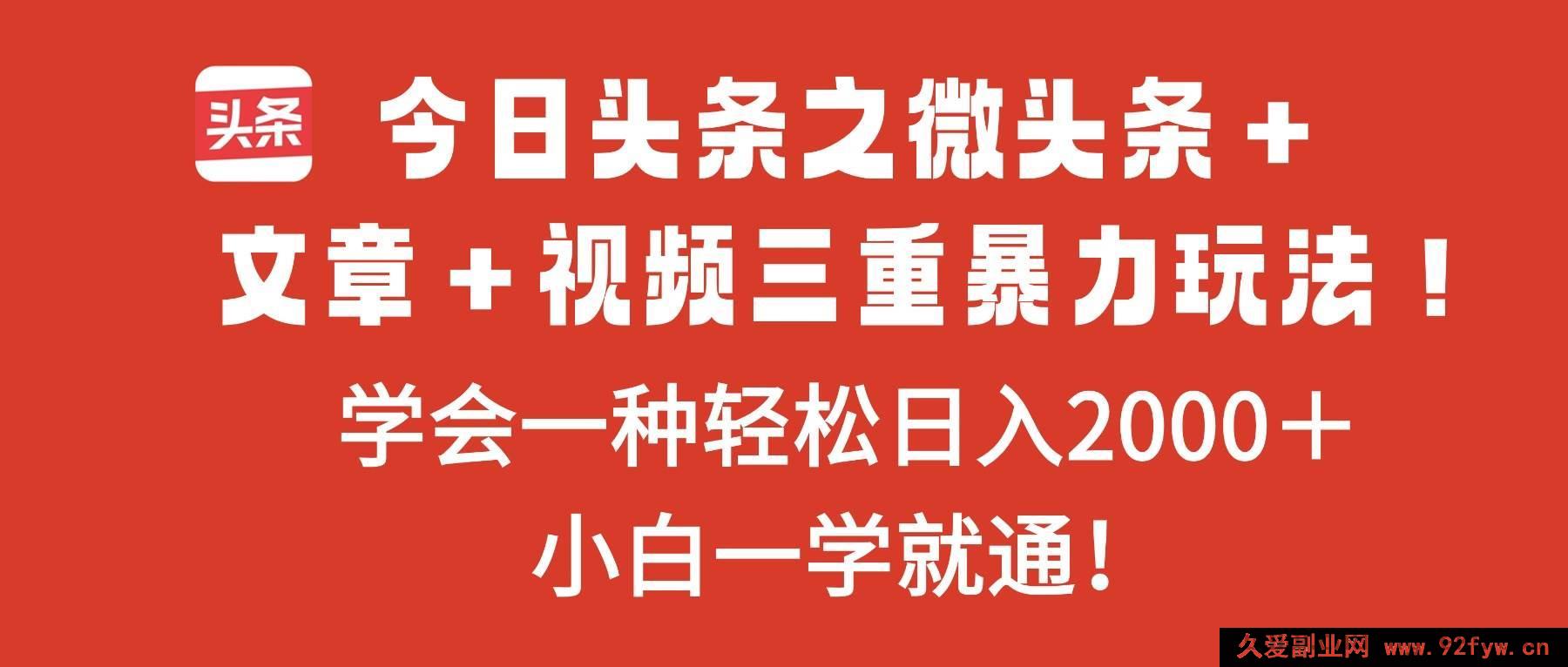 图片[1]-16556期今日头条微头条、文章和视频超牛玩法，掌握其一轻松日赚2000＋-每日必学网