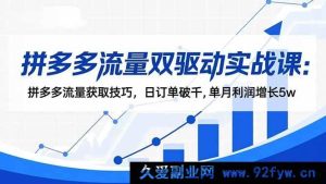（16563期）拼多多流量双驱动秘籍课：掌握流量获取绝招，日销千单，月赚5万不是梦-每日必学网