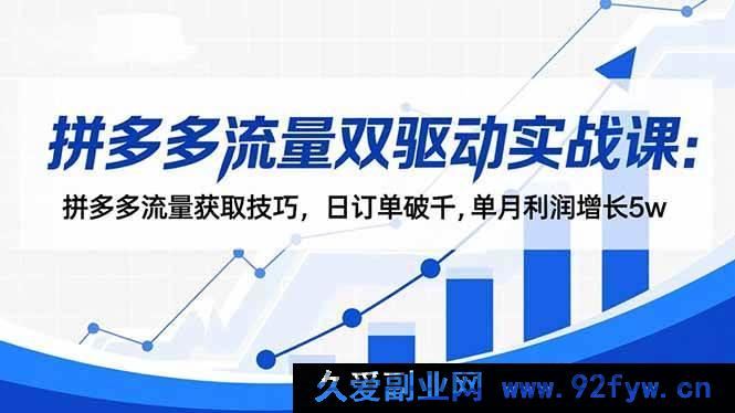 图片[1]-（16563期）拼多多流量双驱动秘籍课：掌握流量获取绝招，日销千单，月赚5万不是梦-每日必学网