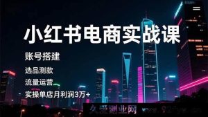 16615期小红书电商秘籍课，从0到1搭建账号，精准选品测款，流量运营实战月赚3万+-每日必学网