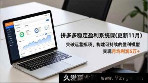 （16641期）拼多多高效盈利秘籍课（11月更新），打破运营困局，打造持久盈利模式，月赚五万不是梦-每日必学网
