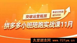 16654期拼多多小班实战陪跑课11月，构建强付费矩阵、巧用原价活动与暗券引流，打破运营困局，单店日赚超5000-每日必学网