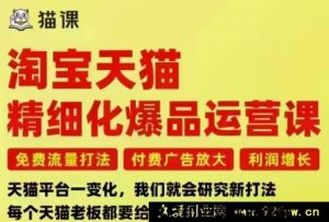 猫课子幽-淘宝天猫精细化爆品运营9月12-14杭州线下课（价值5980元）_-每日必学网
