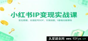 小红书变现实操秘籍：精准定位与起号流程，文案拍摄全攻略，零基础创富指南-每日必学网